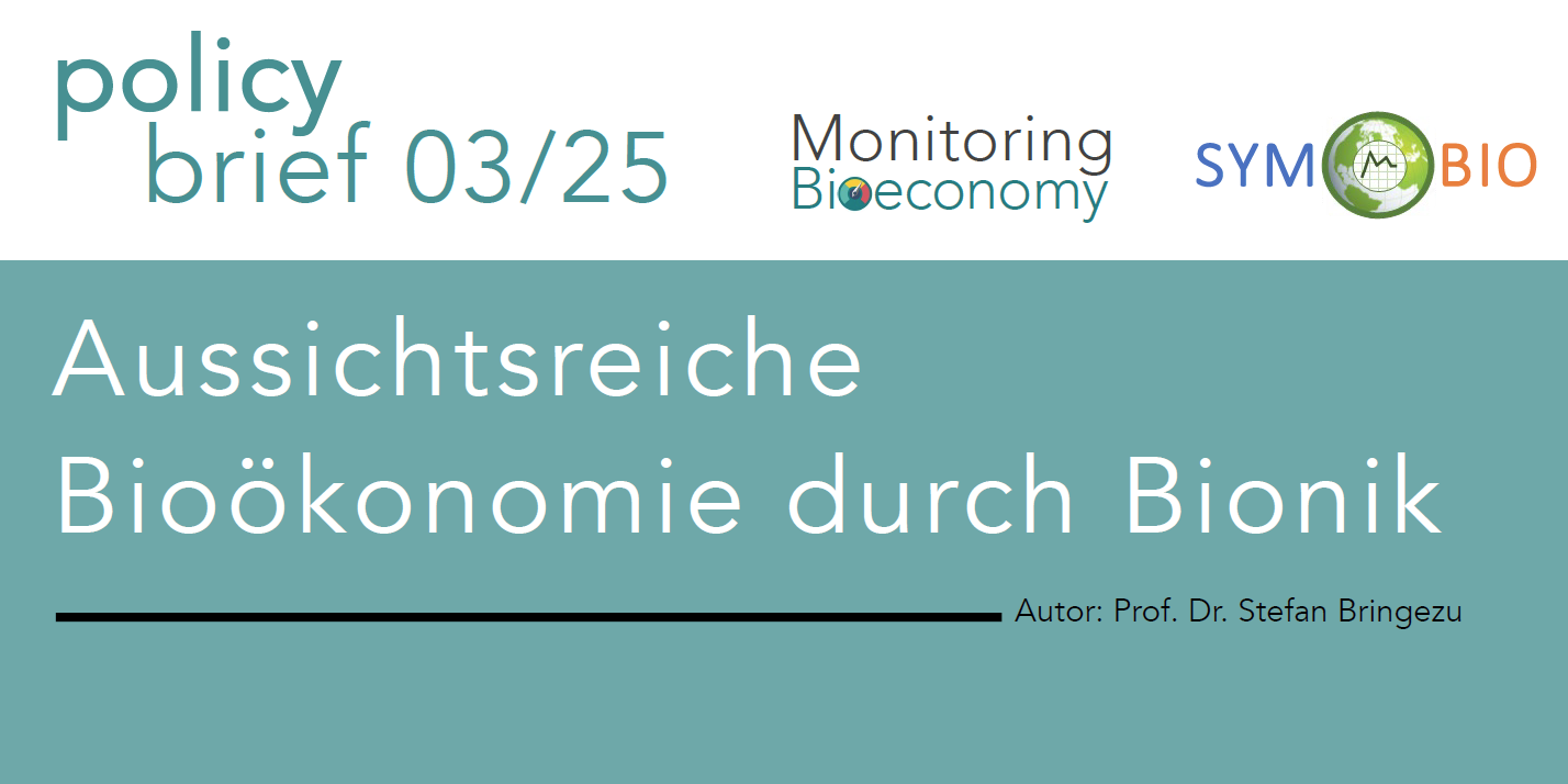 Dekoratives Bild Policy brief 03/2025